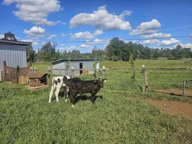 CASA CON GRAN TERRENO EN FOLILCO LOS LAGOS
