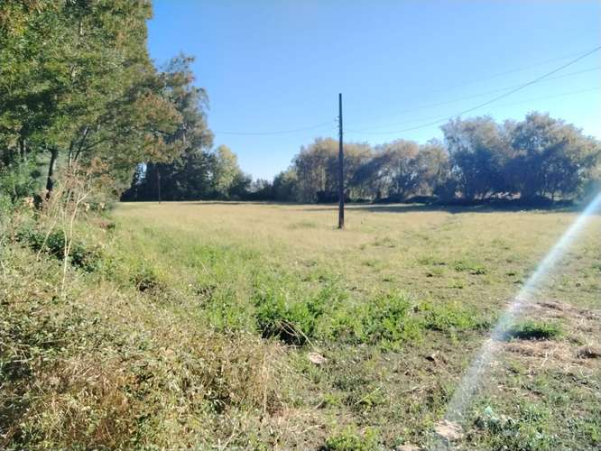 PROPIEDAD AGRICOLA, CAMPO EN VENTA EN COLBÚN CON AGUA
