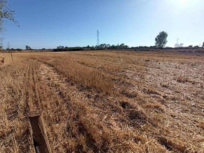 PROPIEDAD AGRICOLA, CAMPO EN VENTA EN COLBÚN CON AGUA