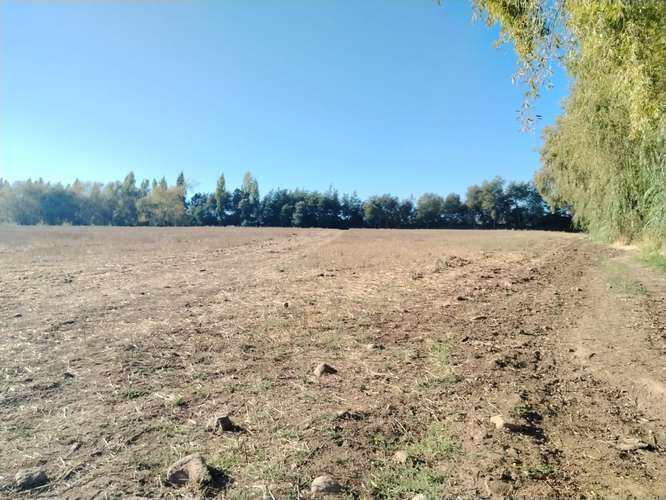 PROPIEDAD AGRICOLA, CAMPO EN VENTA EN COLBÚN CON AGUA