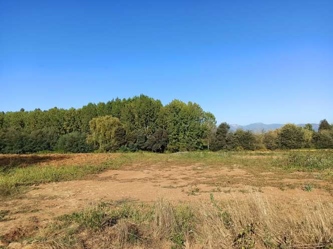 PROPIEDAD AGRICOLA, CAMPO EN VENTA EN COLBÚN CON AGUA
