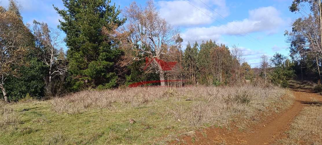 VENTA TERRENO EN CARAHUE, 15000MTS