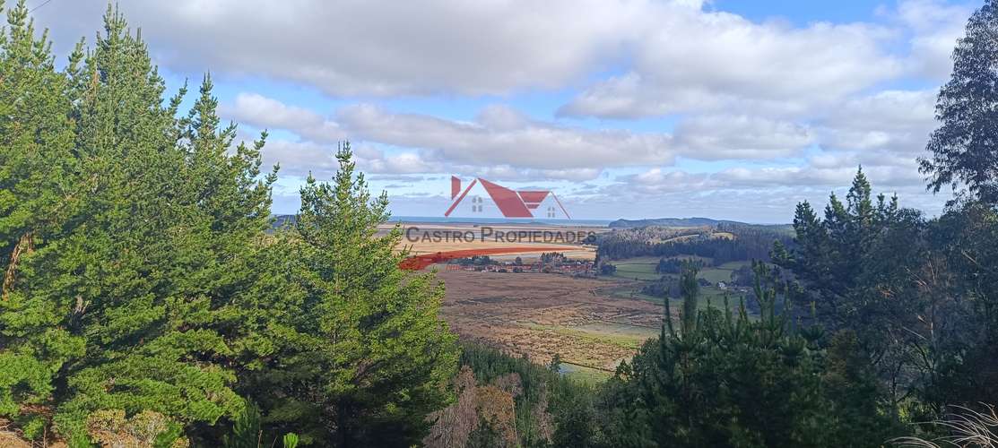 VENTA TERRENO EN CARAHUE, 15000MTS