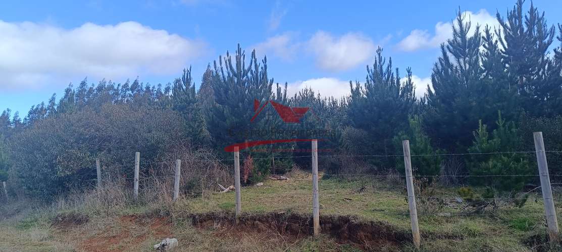 VENTA TERRENO EN CARAHUE, 15000MTS