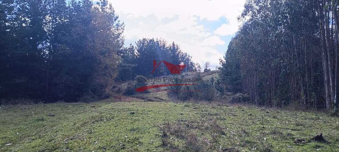 VENTA TERRENO EN CARAHUE, 15000MTS