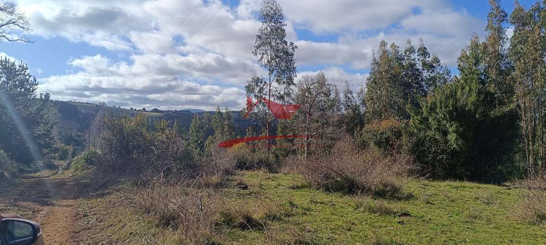 VENTA TERRENO EN CARAHUE, 15000MTS