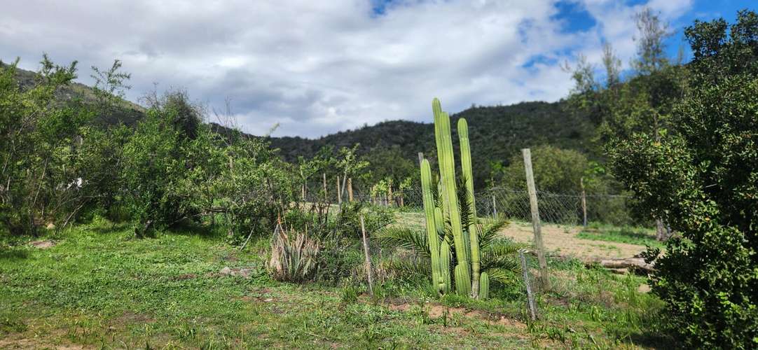 Casa 2D/2B en parcela de 6.100 m² con bosque nativo - Imagen 20
