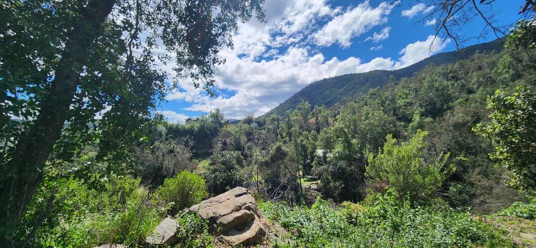 Casa 2D/2B en parcela de 6.100 m² con bosque nativo - Imagen 16