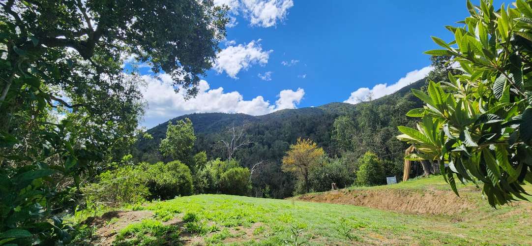 Casa 2D/2B en parcela de 6.100 m² con bosque nativo - Imagen 19