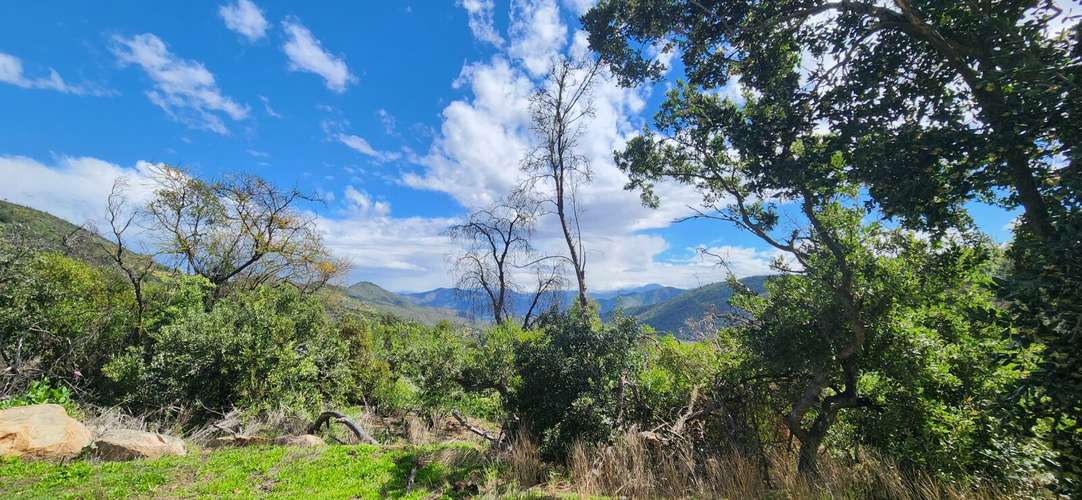 Casa 2D/2B en parcela de 6.100 m² con bosque nativo - Imagen 18