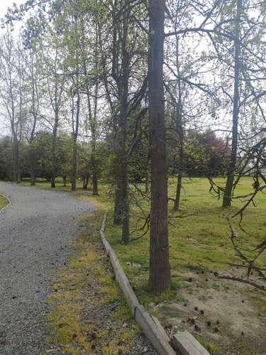 Parcela en Venta en Requínoa