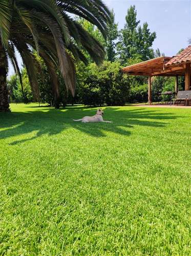Parcela en Venta en Requínoa