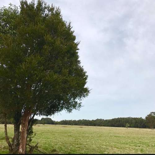 SE VENDE PARCELA 5.000 MTS - Imagen 2