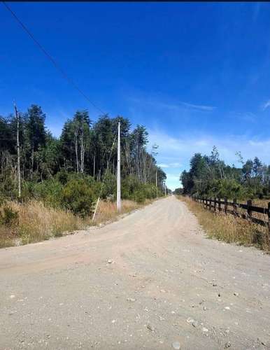 SE VENDE PARCELA 5.000 MTS - Imagen 5