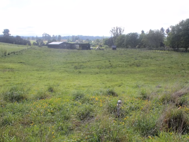 Venta exclusivas Parcelas / 5 minutos de Frutillar / Región de Los Lagos