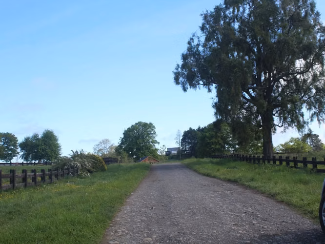 Venta exclusivas Parcelas / 5 minutos de Frutillar / Región de Los Lagos