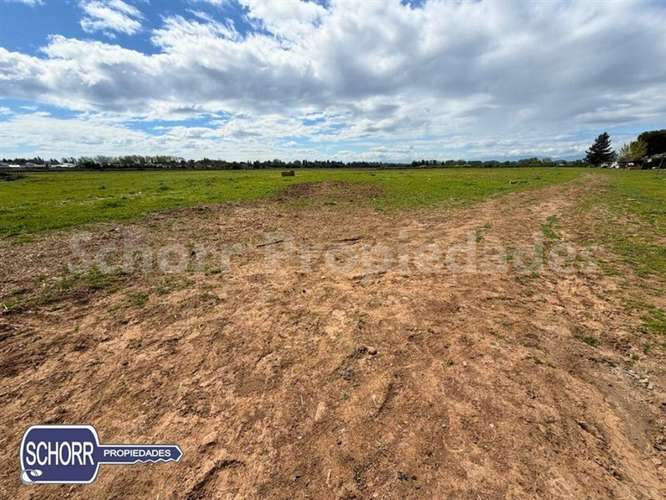 Terreno para constructoras , 16 has. vendo en Villa Alegre - Imagen 3