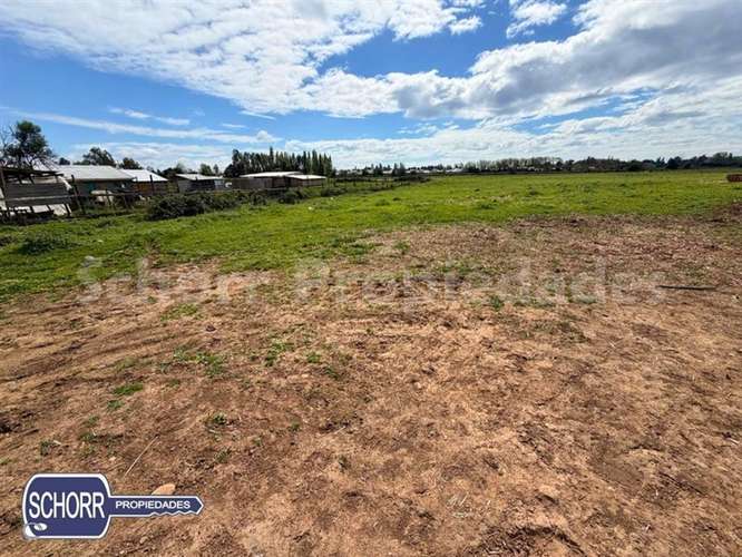 Terreno para constructoras , 16 has. vendo en Villa Alegre - Imagen 4