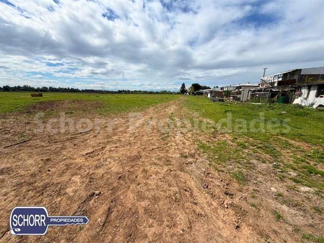 Terreno para constructoras , 16 has. vendo en Villa Alegre - Imagen 2