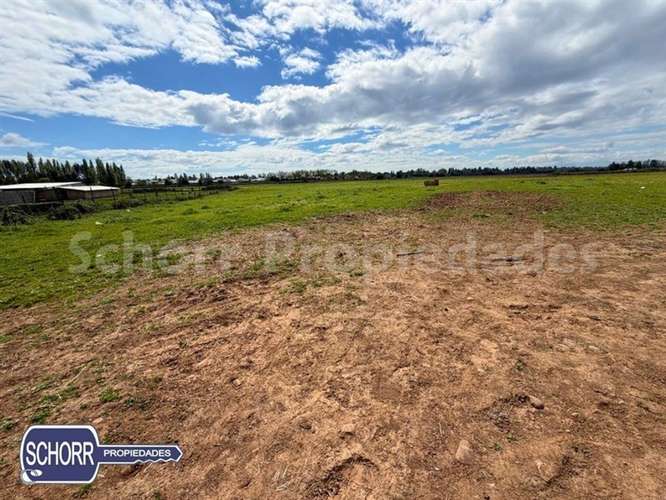 Terreno para constructoras , 16 has. vendo en Villa Alegre - Imagen 5