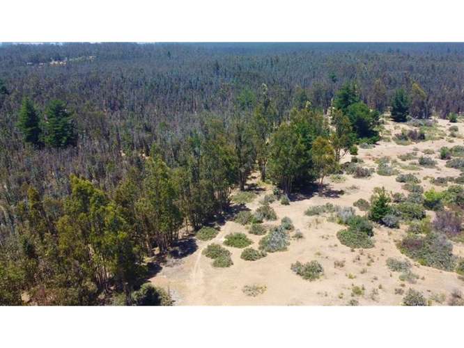 Gran terreno | 11 ha  En El Quisco