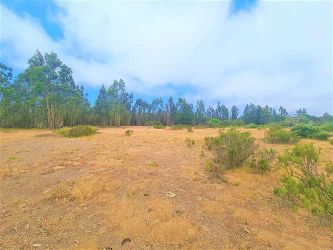 Gran terreno | 11 ha  En El Quisco