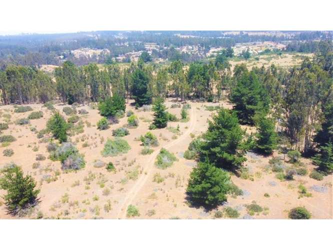 Gran terreno | 11 ha  En El Quisco