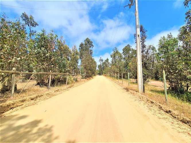 Gran terreno | 11 ha  En El Quisco