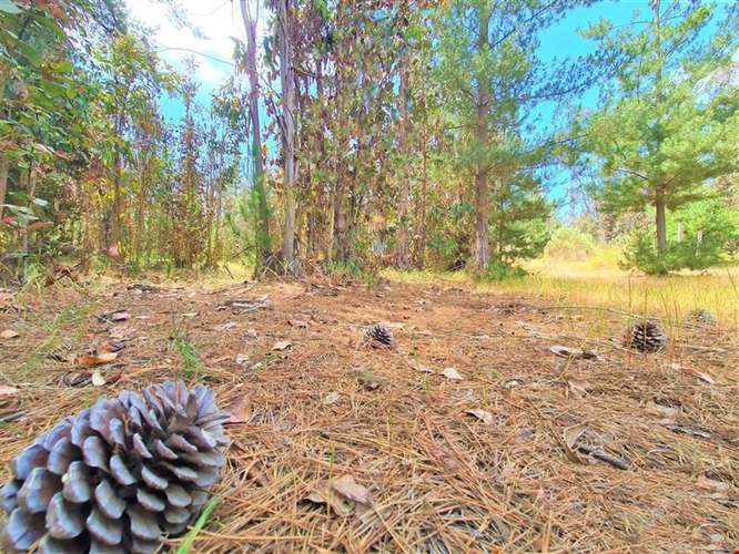 Gran terreno | 11 ha  En El Quisco