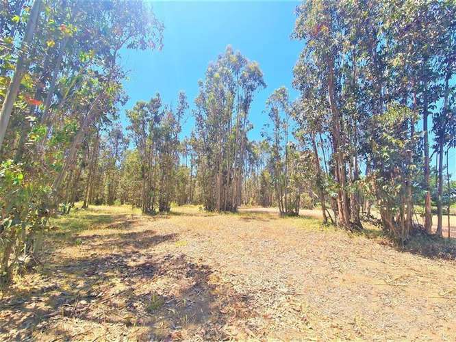 Gran terreno | 11 ha  En El Quisco