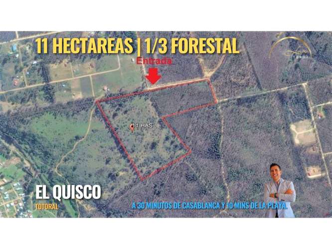 Gran terreno | 11 ha  En El Quisco