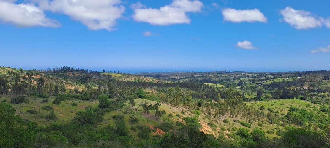 Entre Algarrobo y Casablanca cómoda parcela c/ vis