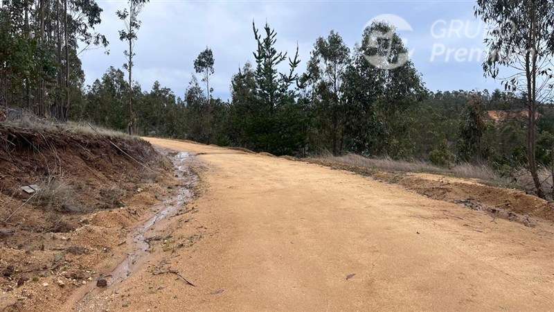 Sitio en venta en Pichilemu - Imagen 10