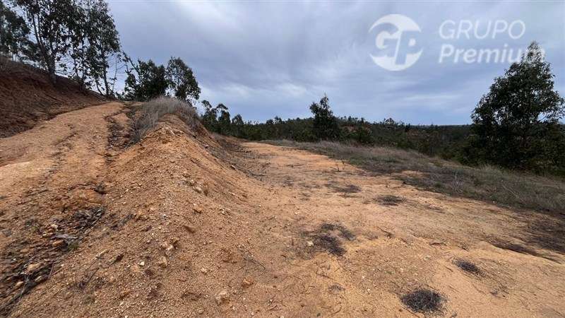 Sitio en venta en Pichilemu - Imagen 2