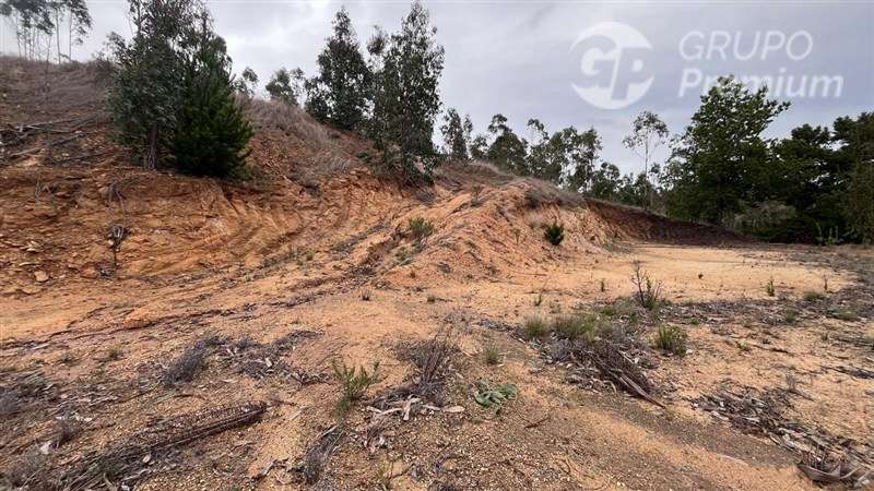 Sitio en venta en Pichilemu - Imagen 13