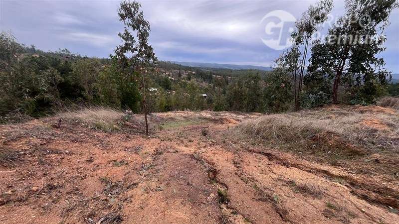 Sitio en venta en Pichilemu - Imagen 4