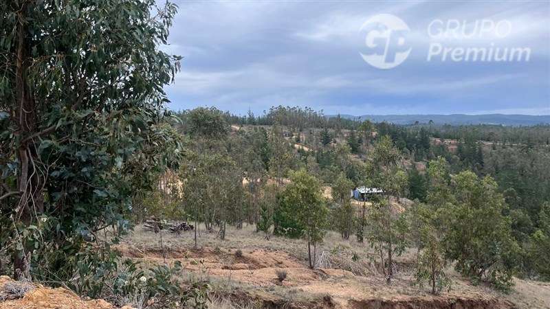 Sitio en venta en Pichilemu - Imagen 9