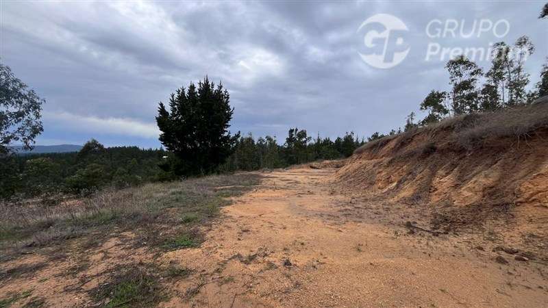 Sitio en venta en Pichilemu - Imagen 3