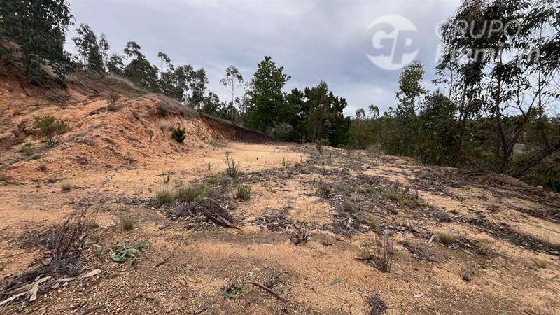 Sitio en venta en Pichilemu - Imagen 11