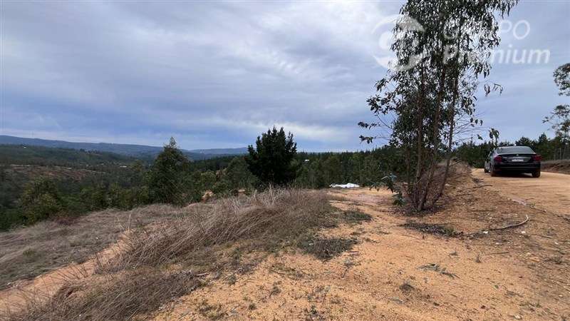 Sitio en venta en Pichilemu - Imagen 8
