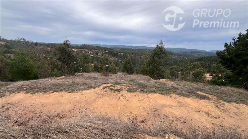 Sitio en venta en Pichilemu - Imagen 6