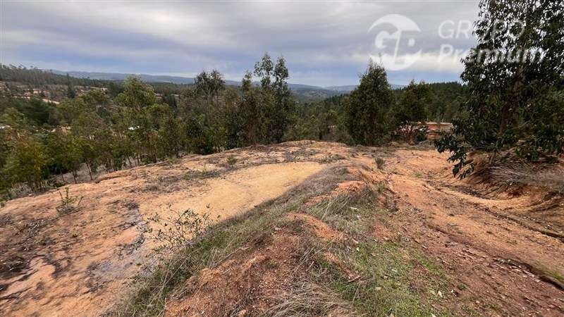 Sitio en venta en Pichilemu - Imagen 5