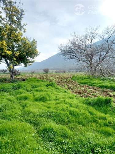 Parcela en venta en Alhué 16.400 mt2
