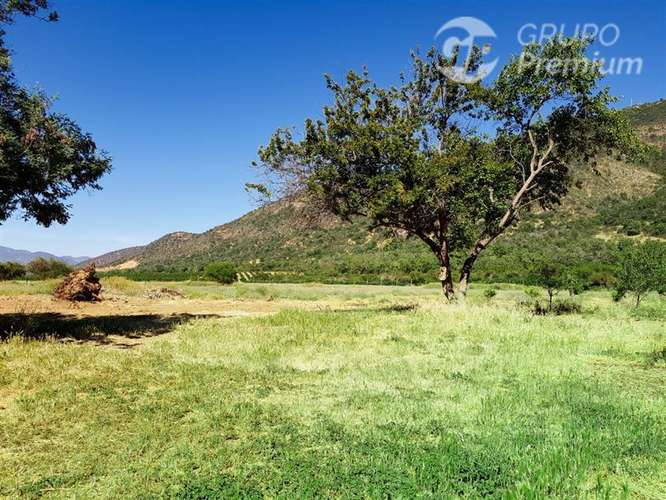 Parcela en venta en Alhué 16.400 mt2