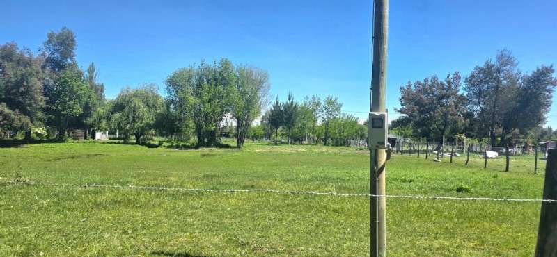 Vendo Parcela de 5.000 m² Sector La Isla, Los Ángeles - Imagen 12