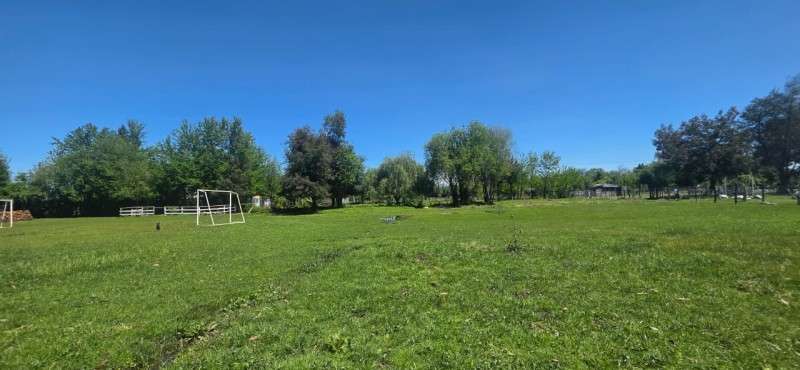 Vendo Parcela de 5.000 m² Sector La Isla, Los Ángeles - Imagen 11