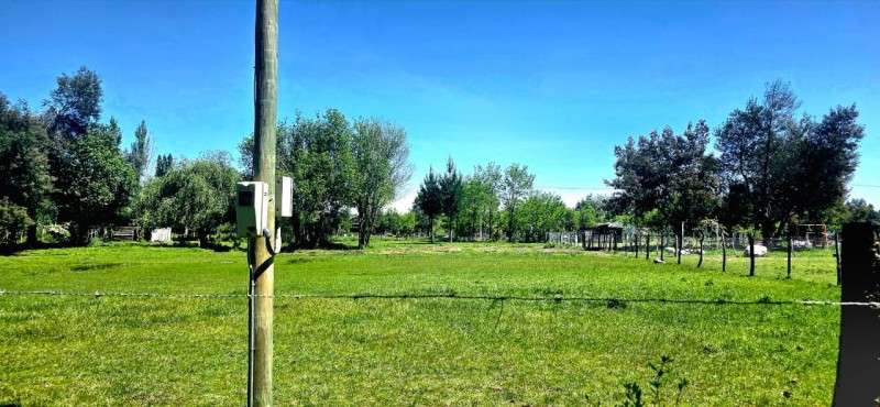 Vendo Parcela de 5.000 m² Sector La Isla, Los Ángeles - Imagen 3