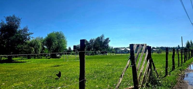 Vendo Parcela de 5.000 m² Sector La Isla, Los Ángeles - Imagen 4