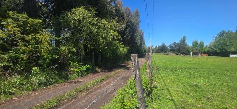 Vendo Parcela de 5.000 m² Sector La Isla, Los Ángeles - Imagen 5