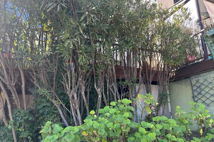¡tu hogar ideal en reñaca alto te espera! - Imagen 24